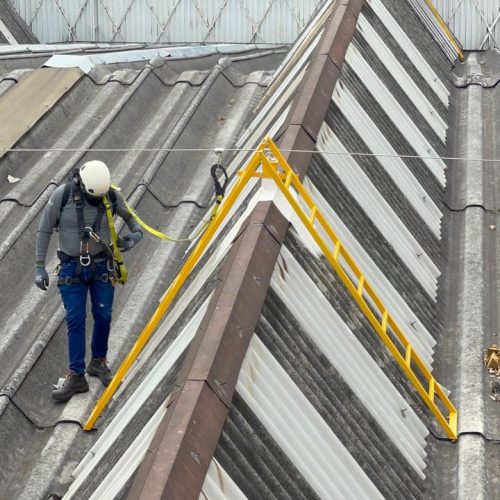 PHOTO-2025-02-27-18-54-09